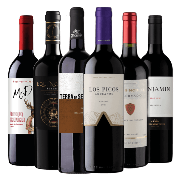 Kit 6 Vinhos Tintos Essenciais